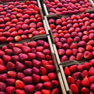 Oferta Especial: Fresas Seleccionadas (500g)