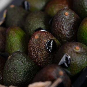 Aguacates Hass Premium (Pack de 4)
